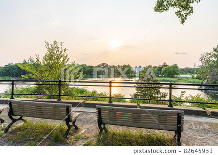 Swan Lake, Jean-Drapeau park in summer evening. Saint Helens Island. Montreal, Quebec, Canada. Swan Lake, Jean-Drapeau park in summer evening. Saint Helens Island. Montreal, Quebec, Canada. 82645931