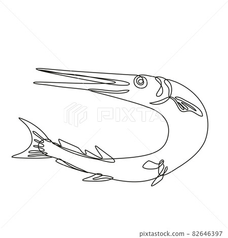Needlefish or Long Toms Jumping Up Line Drawing 82646397