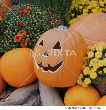 時尚的萬聖節裝飾品 時尚的萬聖節裝飾品 82648679