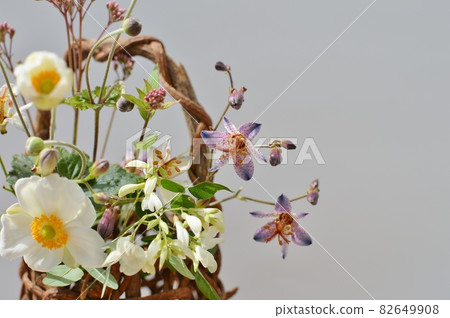 Cute flowers and baskets that bloom in autumn Cute flowers and baskets that bloom in autumn 82649908