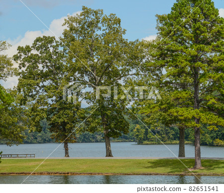 Beautiful view of Lake Lamar Bruce State Park in Saltillo, Lee County, Mississippi 82651541