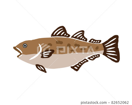 Cod retro vector illustration Cod retro vector illustration 82652062