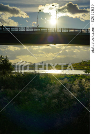 秋天的長良川風格,日本蒲葦,金華橋和中雪橋 秋天的長良川風格,日本蒲葦,金華橋和中雪橋 82652639