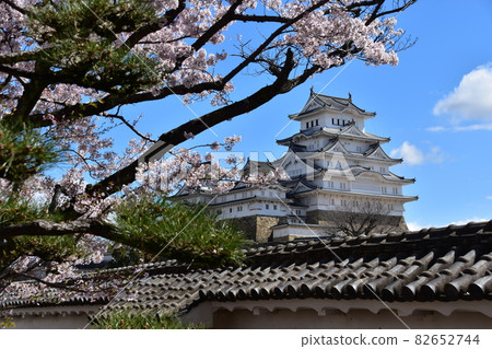 日本兵庫縣姬路市姬路城，世界遺產和國寶，春天的櫻花，藍天和宏偉的城堡塔 82652744