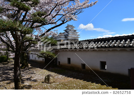 Himeji City, Hyogo Prefecture, Japan World Heritage Himeji Castle Spring cherry blossoms and blue sky and a magnificent castle tower A beautiful fort built inside the castle 82652758