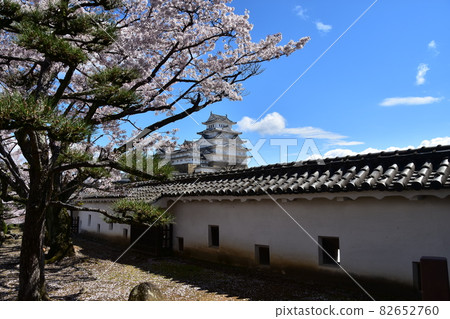 Himeji City, Hyogo Prefecture, Japan World Heritage Himeji Castle Spring cherry blossoms and blue sky and a magnificent castle tower A beautiful fort built inside the castle 82652760