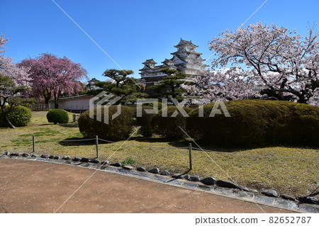 日本兵庫縣姬路市姬路城,世界遺產和國寶,春天的櫻花,藍天和宏偉的城堡塔 日本兵庫縣姬路市姬路城,世界遺產和國寶,春天的櫻花,藍天和宏偉的城堡塔 82652787