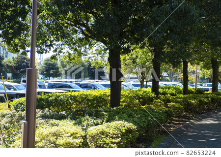 公園停車場 公園停車場 82653224