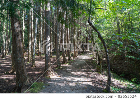 從上田中切龍巴士站到Ochigataki（Konze Alps）的山路 82653524