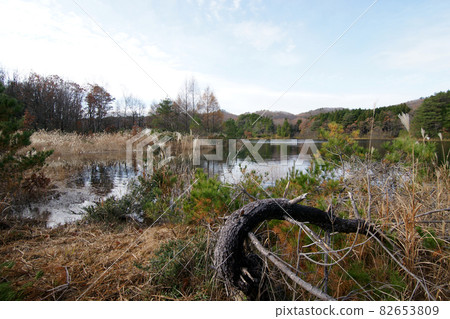 鳥取走在四季落在E原高原 鳥取走在四季落在E原高原 82653809
