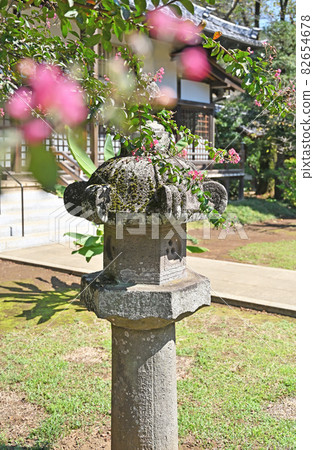 野田城市步道：真言宗豐山學區金城 82654678