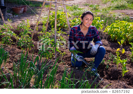 Latino woman working on a farm field on hot day Latino woman working on a farm field on hot day 82657192