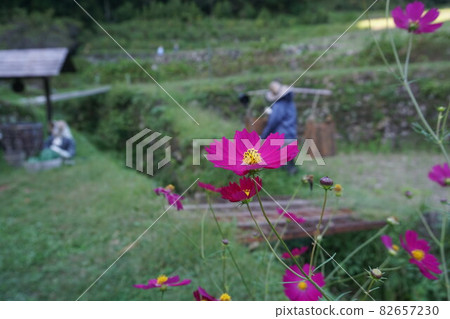 Yotsuya Rice Terraces Scarecrow Yotsuya Rice Terraces Scarecrow 82657230