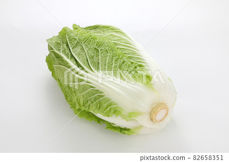 Cabbage Cabbage 82658351