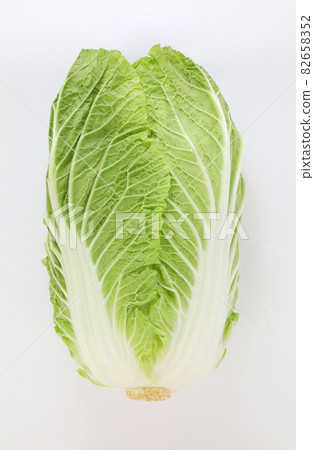 Cabbage Cabbage 82658352