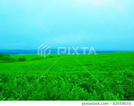 Vast prairie and blue sky 82659078