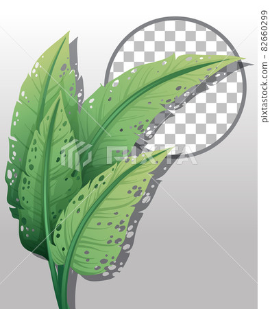 Green nature leaves frame transparent background Green nature leaves frame transparent background 82660299