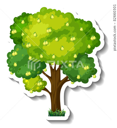 Pear tree sticker on white background Pear tree sticker on white background 82660301