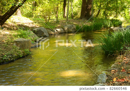 Landscape at the waterside 82660546