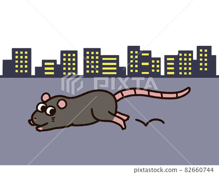Rattus norvegicus running in the city Rattus norvegicus running in the city 82660744