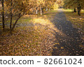 autumn path in the park with fallen leaves and sunbeam 82661024