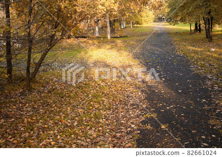 autumn path in the park with fallen leaves and sunbeam autumn path in the park with fallen leaves and sunbeam 82661024