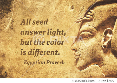 all seed EP 82661209