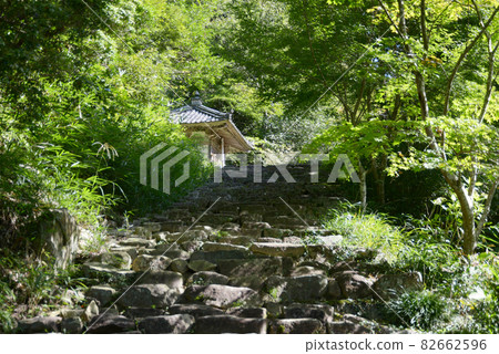 滋賀縣近江八幡市安土町桑之寺和地藏堂 滋賀縣近江八幡市安土町桑之寺和地藏堂 82662596