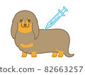 Dachshund hitting an injection 82663257
