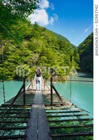 [日本靜岡]夢之橋 82663542