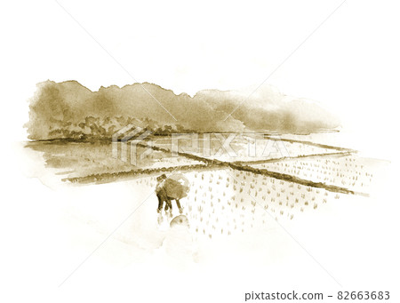 Rice planter sepia landscape 82663683