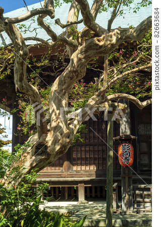 Yogoji Temple was built in Tachibana-gun, Musashi Province, which is related to Emperor Shomu in the Nara period. 82663684