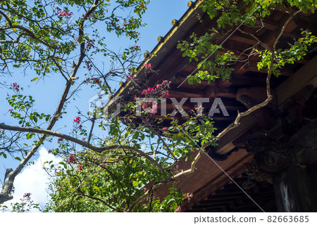 Yogoji Temple was built in Tachibana-gun, Musashi Province, which is related to Emperor Shomu in the Nara period. 82663685