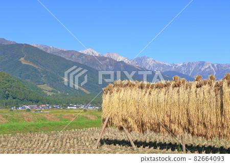 Autumn Northern Alps seen from the foot of Mt. Hakuba 82664093