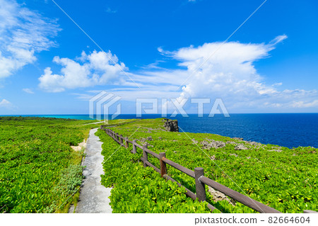 沖繩縣宮古島西平安名崎的風景 82664604