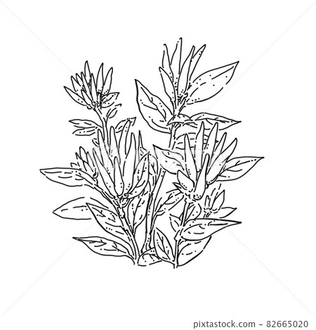 胡椒筆繪圖切割插圖 82665020