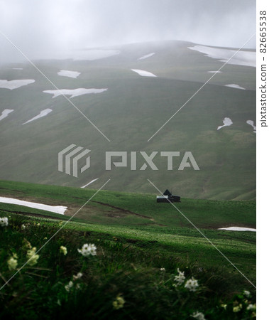 Green field on the plateau. Peaceful meadows Green field on the plateau. Peaceful meadows 82665538