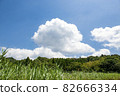 Blue sky and white clouds in midsummer satoyama 82666334
