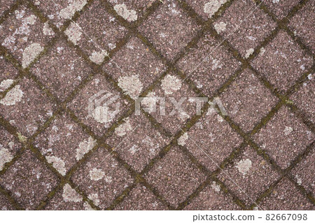 Old pavement with moss texture 82667098