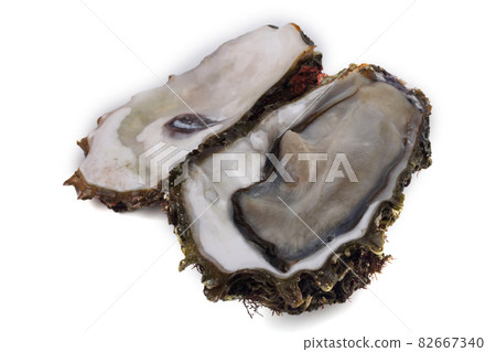Opened oyster isolated on white 82667340