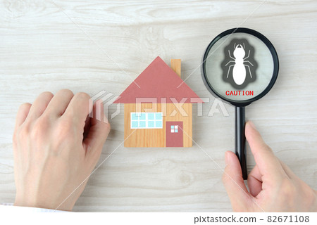 Image of housing and termite problems 82671108