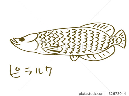 Pirarucu Pirarucu 82672044