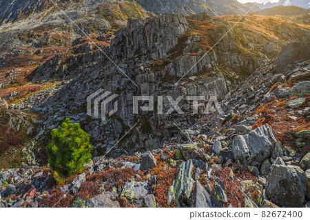 Scattering of stones, granite rock. Rocky mountain slope, chaotic mountain landscape. Scattering of stones, granite rock. Rocky mountain slope, chaotic mountain landscape. 82672400