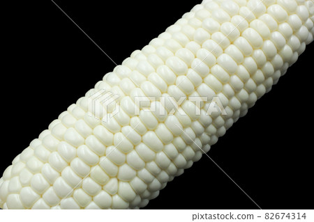 close up of white corn with copy space on black background close up of white corn with copy space on black background 82674314