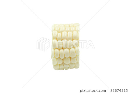 side part of white corn with copy space on white background side part of white corn with copy space on white background 82674315