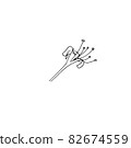 dried flowers, dry grass on a white background,Hand drawn engraving illustration, minimalism style. Ikebana. 82674559
