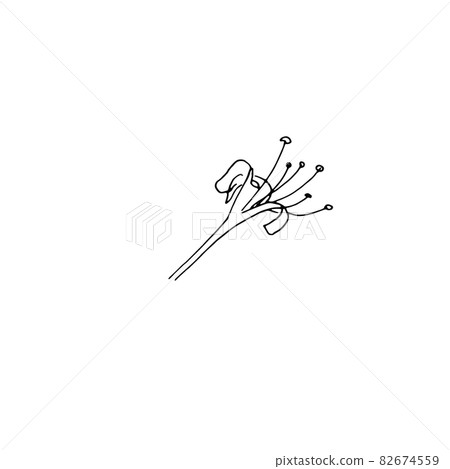 dried flowers, dry grass on a white background,Hand drawn engraving illustration, minimalism style. Ikebana. dried flowers, dry grass on a white background,Hand drawn engraving illustration, minimalism style. Ikebana. 82674559