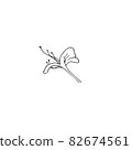 dried flowers, dry grass on a white background,Hand drawn engraving illustration, minimalism style. Ikebana. 82674561