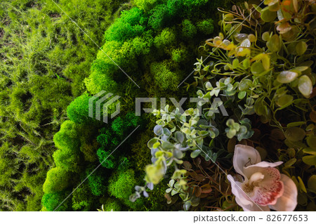 round picture of green decorative moss with LED lighting on the wall. 82677653