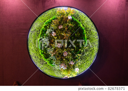 round picture of green decorative moss with LED lighting on the wall. 82678371